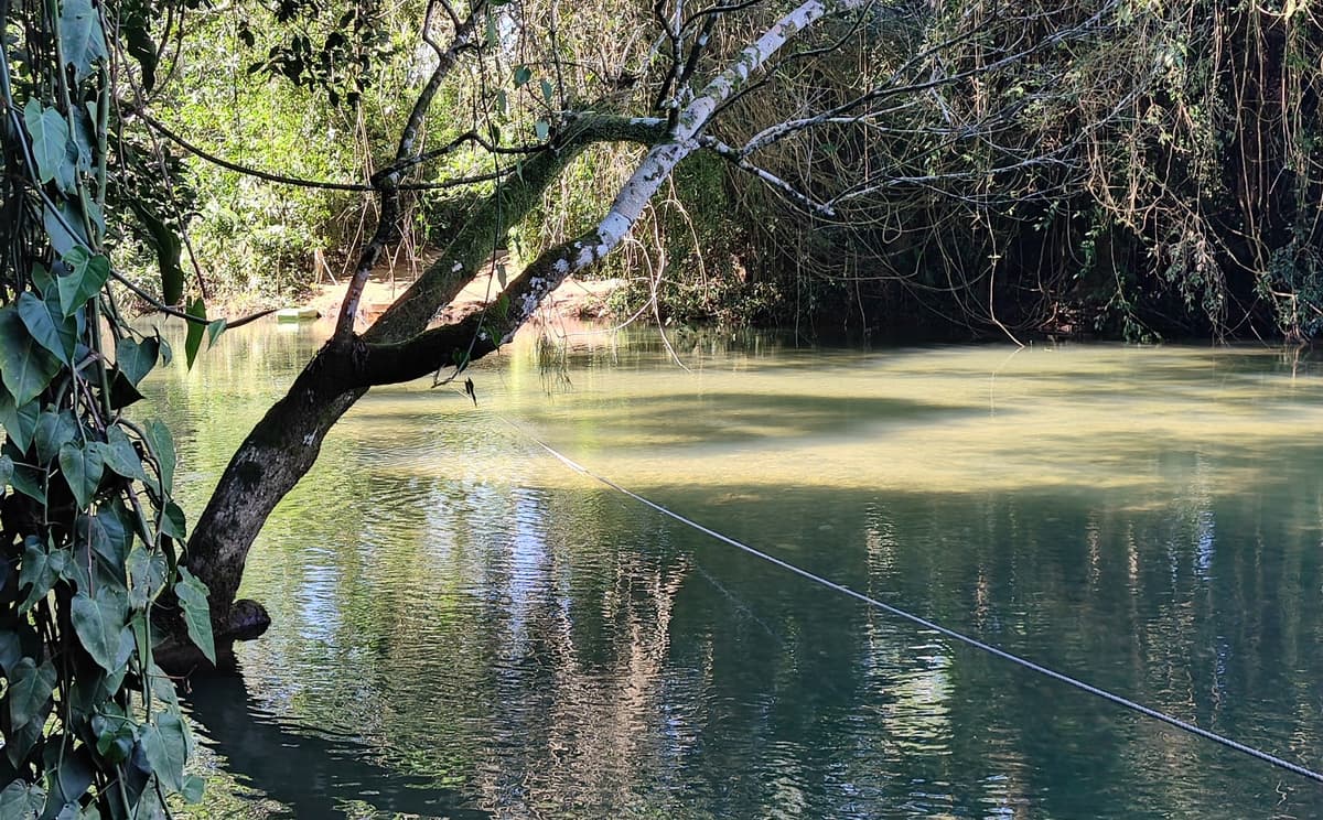 Belize jungle river crossing
